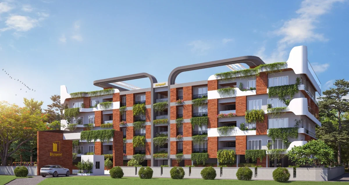 WhatsApp Image 2025-05-19 at 4.03.43 PM